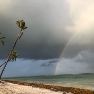 Meet your Posher, Astrid